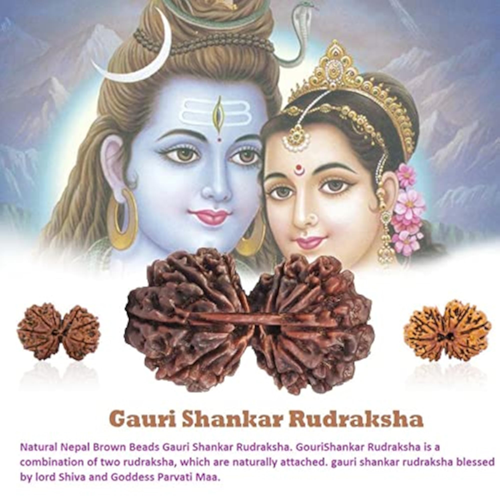 Gauri Shankar Natural Nepal Rudraksha Beads with Silver Pendant